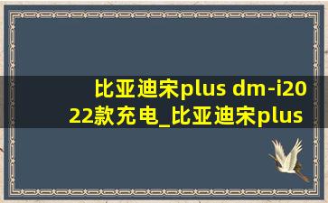 比亚迪宋plus dm-i2022款充电_比亚迪宋plus dm-i2022款充电站